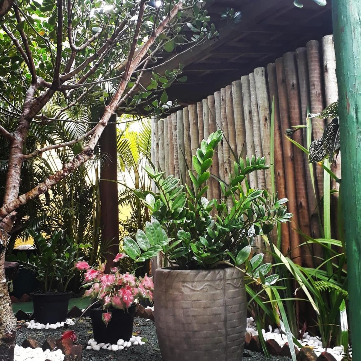 Pousada Corais Do Sul Caraiva Exterior photo